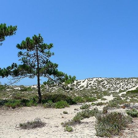 Comporta Beach House Dış mekan fotoğraf